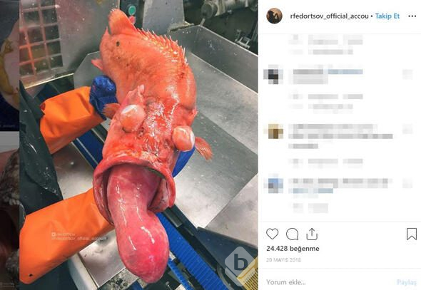 Fenomen isim bunu paylaştı! 'Bir daha denize girmeyeceğim'
