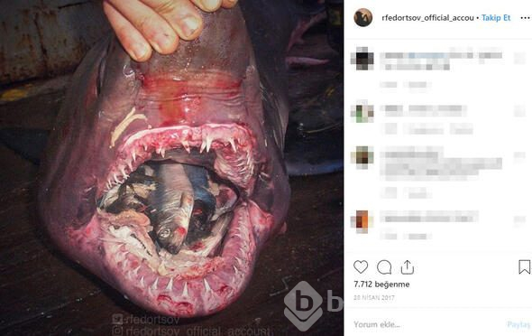 Fenomen isim bunu paylaştı! 'Bir daha denize girmeyeceğim'

