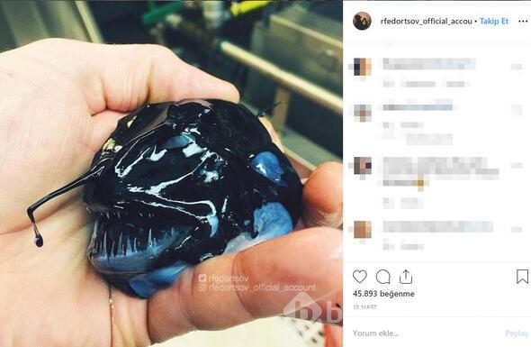 Fenomen isim bunu paylaştı! 'Bir daha denize girmeyeceğim'
