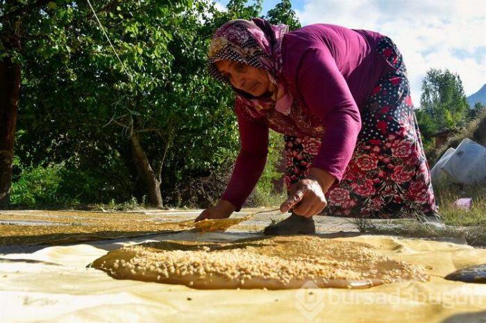 Gümüşhane'de 2 aylık pestil mesaisi başladı kara kazanlar dut pestili için yandı
