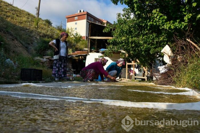 Gümüşhane'de 2 aylık pestil mesaisi başladı kara kazanlar dut pestili için yandı
