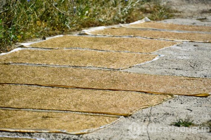 Gümüşhane'de 2 aylık pestil mesaisi başladı kara kazanlar dut pestili için yandı
