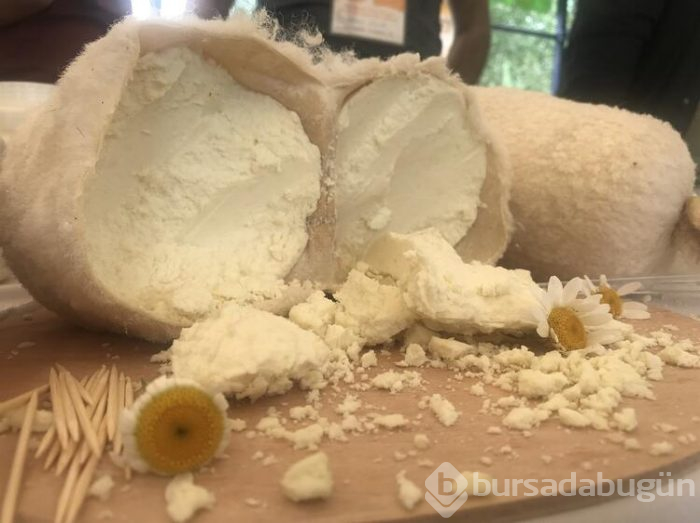 Anadolu peynirleri Kars'ta tanıtıldı
