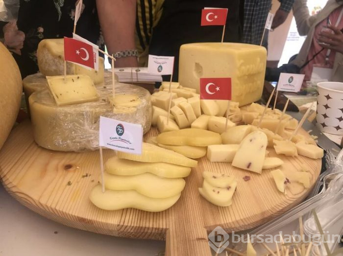 Anadolu peynirleri Kars'ta tanıtıldı
