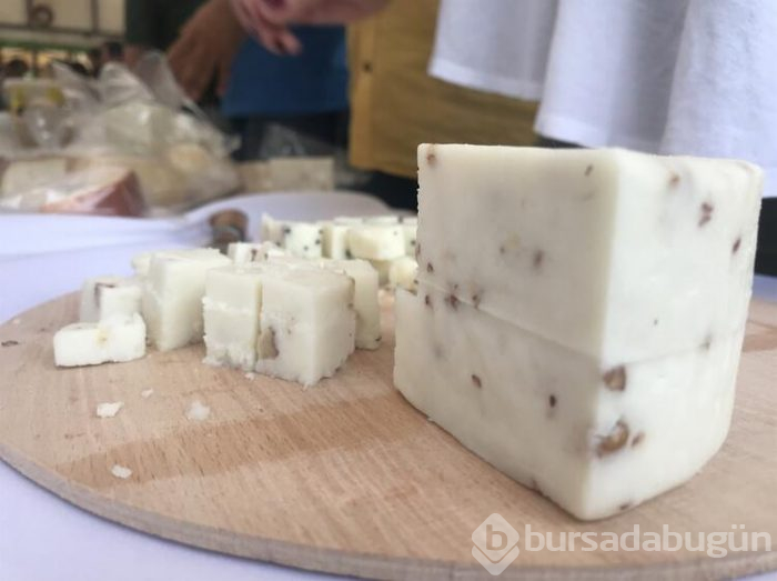 Anadolu peynirleri Kars'ta tanıtıldı
