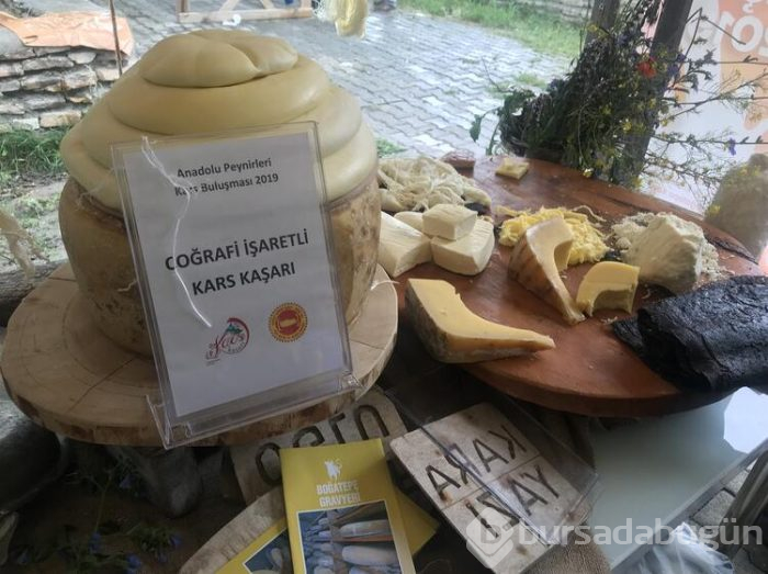 Anadolu peynirleri Kars'ta tanıtıldı
