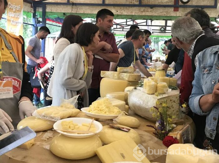 Anadolu peynirleri Kars'ta tanıtıldı
