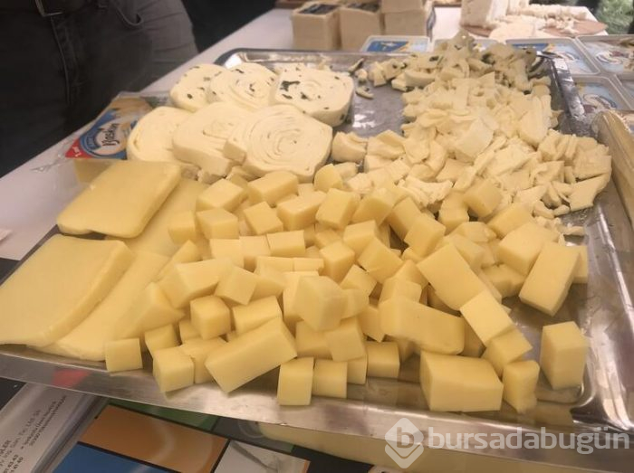 Anadolu peynirleri Kars'ta tanıtıldı
