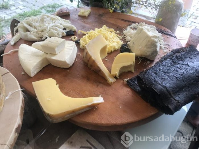 Anadolu peynirleri Kars'ta tanıtıldı
