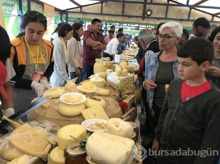 Anadolu peynirleri Kars'ta tanıtıldı
