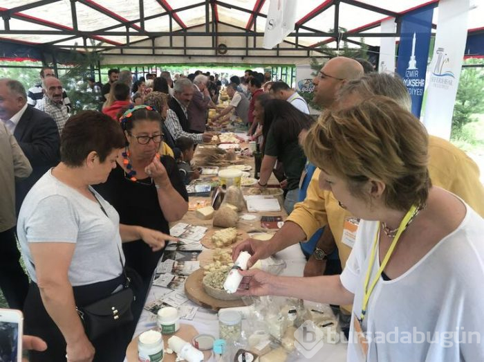 Anadolu peynirleri Kars'ta tanıtıldı

