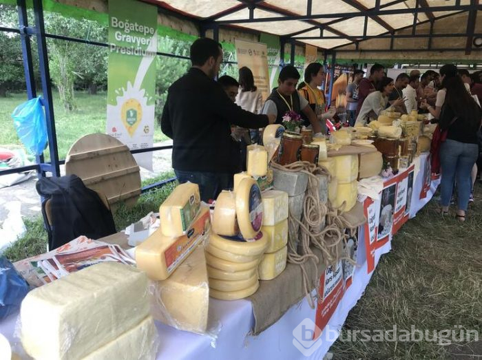 Anadolu peynirleri Kars'ta tanıtıldı
