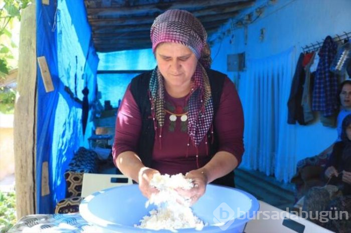 "Yerli Rokfor" mağaraya inmeye başladı
