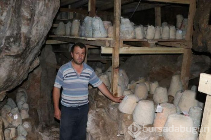"Yerli Rokfor" mağaraya inmeye başladı
