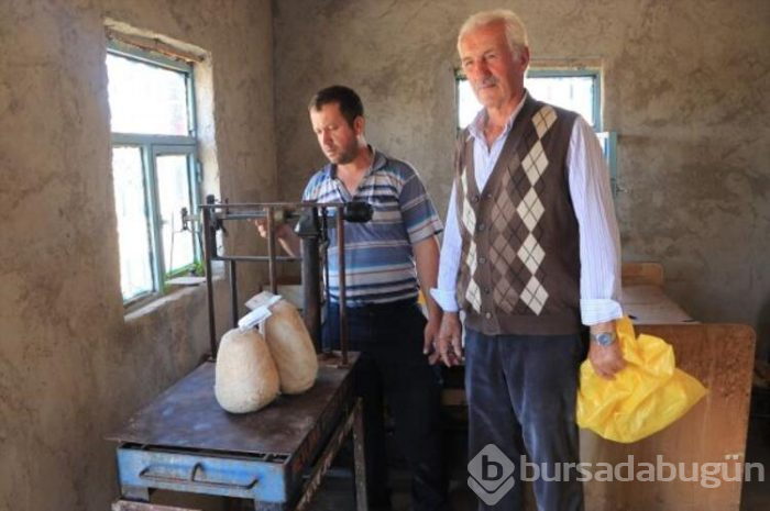 "Yerli Rokfor" mağaraya inmeye başladı
