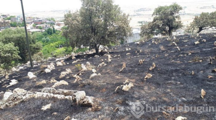 Mezarlığı bu halde gören koştu!