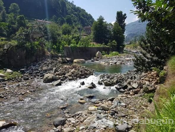Rize'de 300 yıllık kemer köprü çöktü
