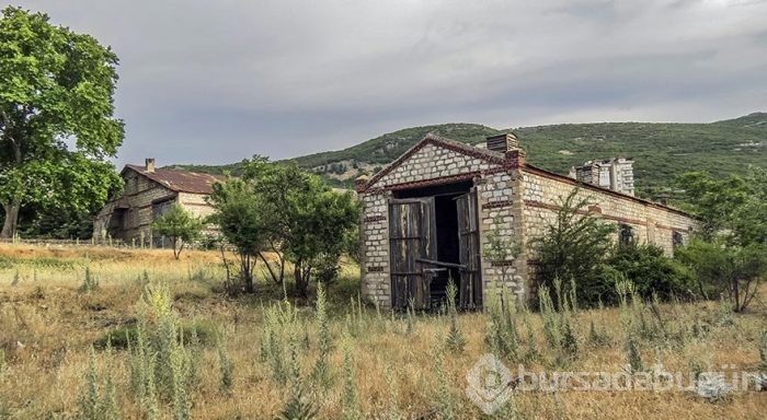 105 yaşındaki hüzünlü tarih: Eğirdir Tren Garı
