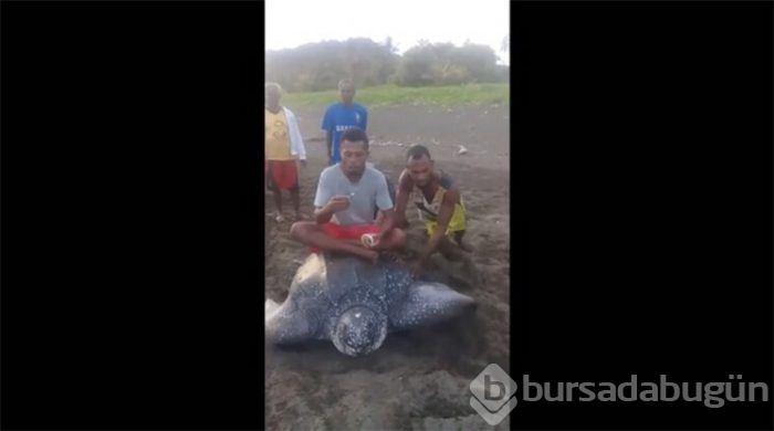 Mide bulandıran görüntüler!
