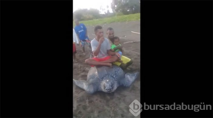 Mide bulandıran görüntüler!
