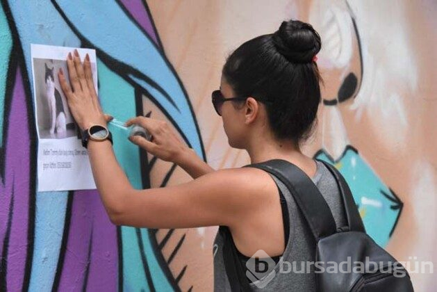 'Belki bulurum, diye her gün sokaklarda arıyorum'
