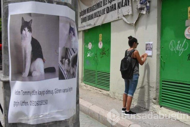 'Belki bulurum, diye her gün sokaklarda arıyorum'
