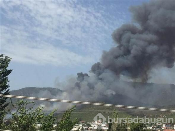Fethiye'de yangın
