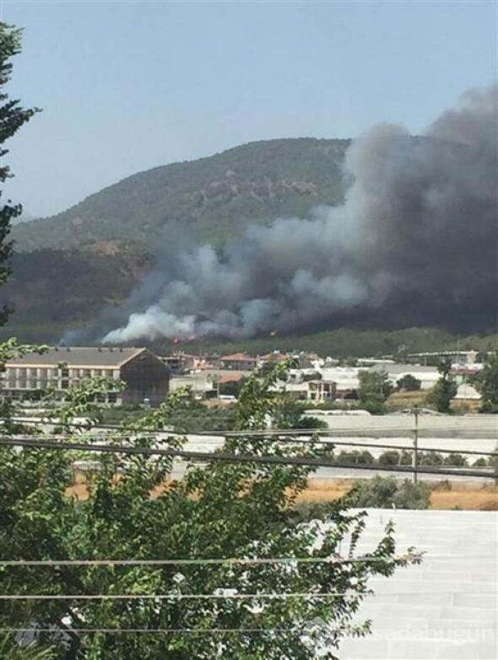 Fethiye'de yangın
