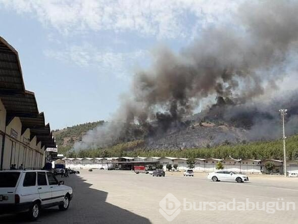 Fethiye'de yangın
