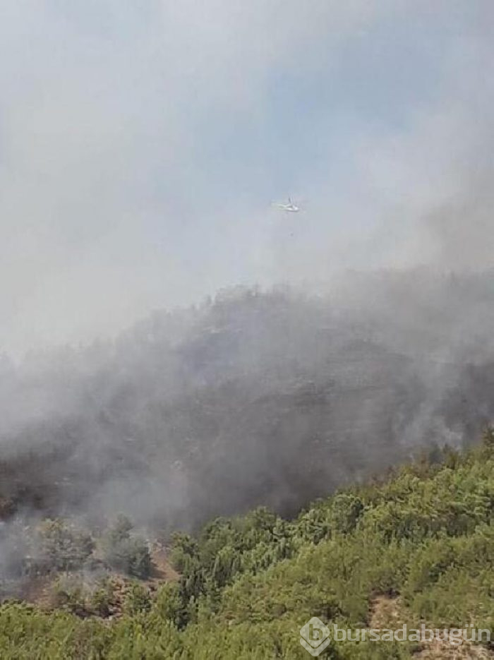 Fethiye'de yangın
