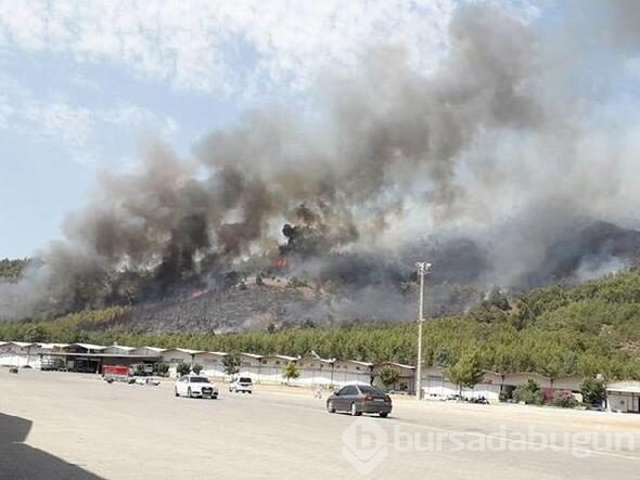 Fethiye'de yangın
