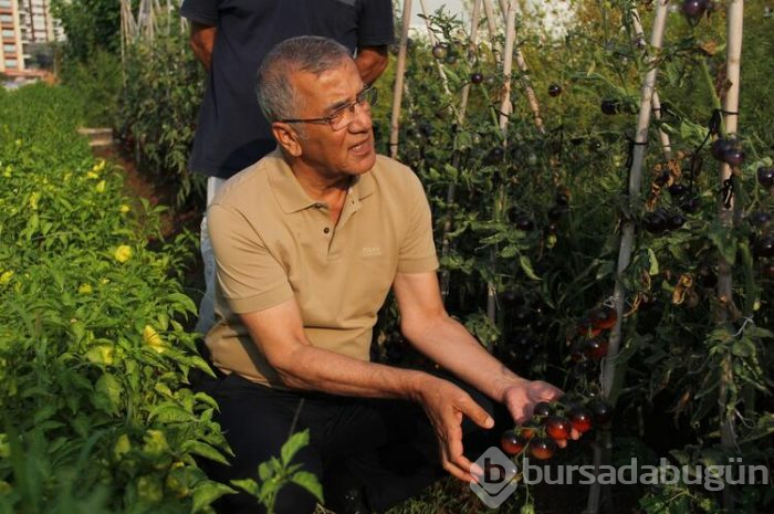 O şehirde bir ilk... Görenler çok şaşırıyor
