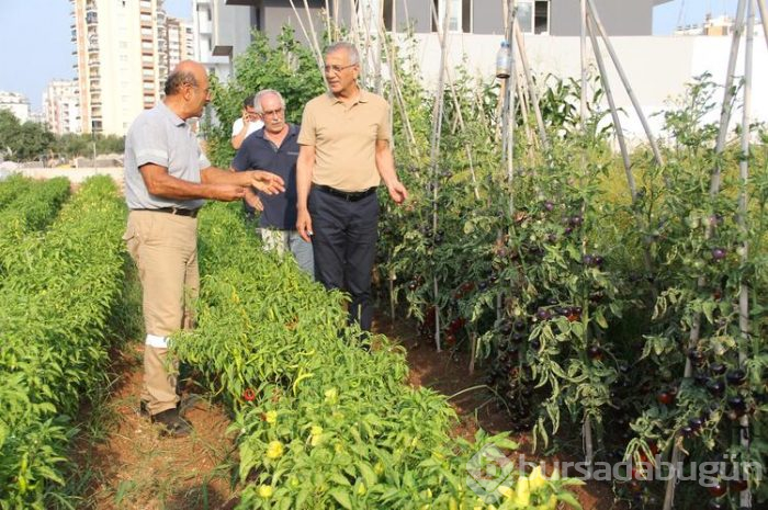 O şehirde bir ilk... Görenler çok şaşırıyor
