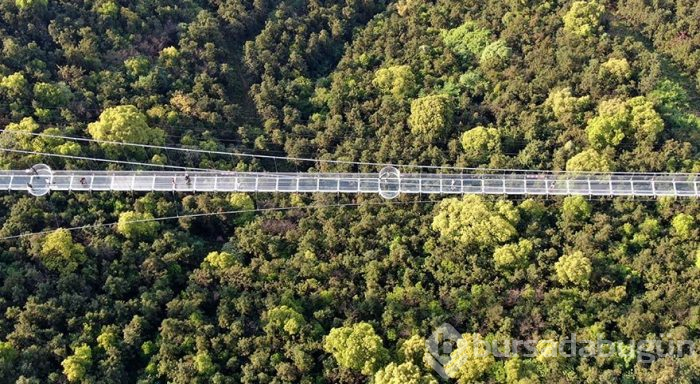 Aynı anda 2600 kişinin geçtiği dev cam köprü

