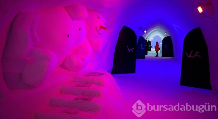 Finlandiya'daki Buz Otel Igloo
