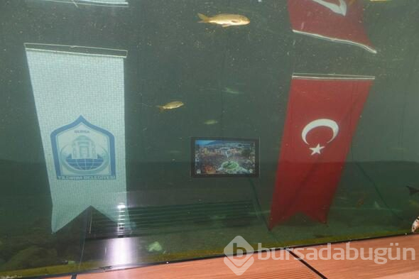 Türkiye'de bir ilk! Su altında sergileniyor

