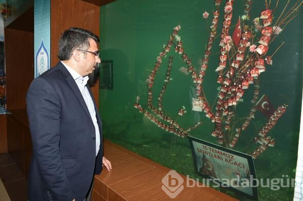Türkiye'de bir ilk! Su altında sergileniyor
