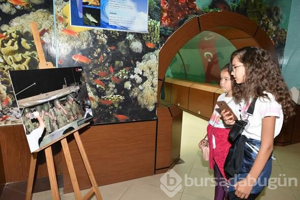 Türkiye'de bir ilk! Su altında sergileniyor
