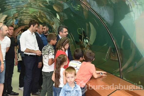 Türkiye'de bir ilk! Su altında sergileniyor
