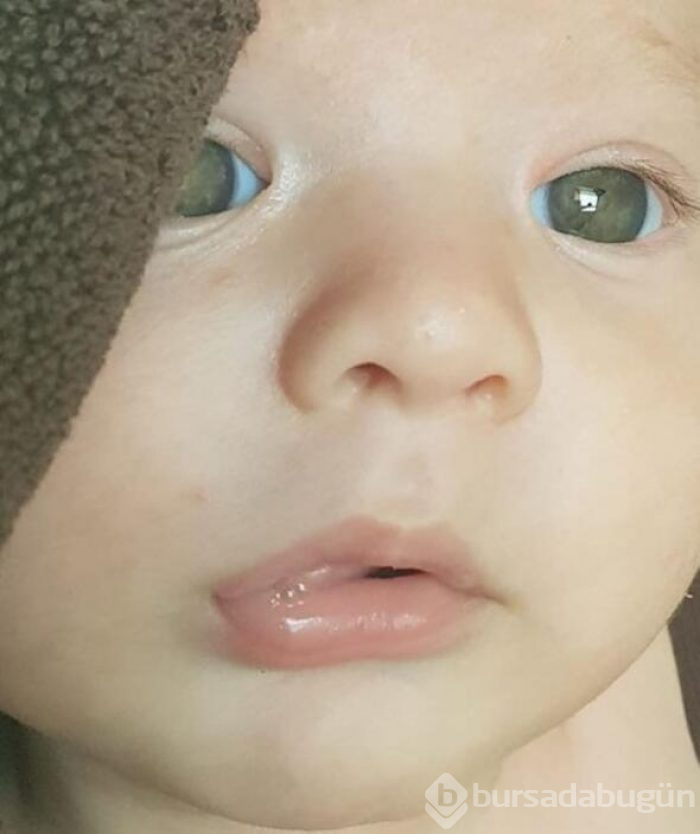Özcan Deniz ile Feyza Aktan'dan şaşırtan fotoğraf
