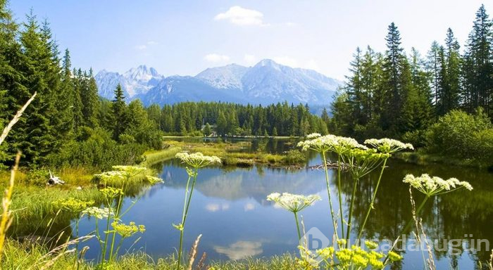 Karpatların en yüksek sıradağları Tatra Dağları
