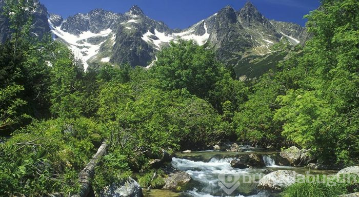 Karpatların en yüksek sıradağları Tatra Dağları
