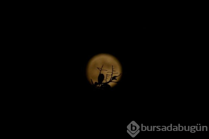 Parçalı Ay tutulması Türkiye'de takip edildi