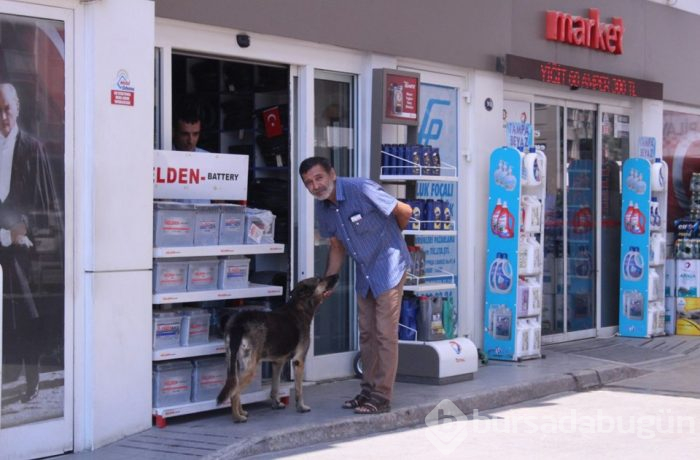 Oto yıkama makinesinde banyo keyfi