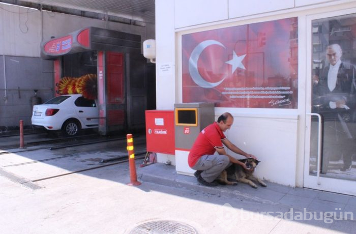 Oto yıkama makinesinde banyo keyfi