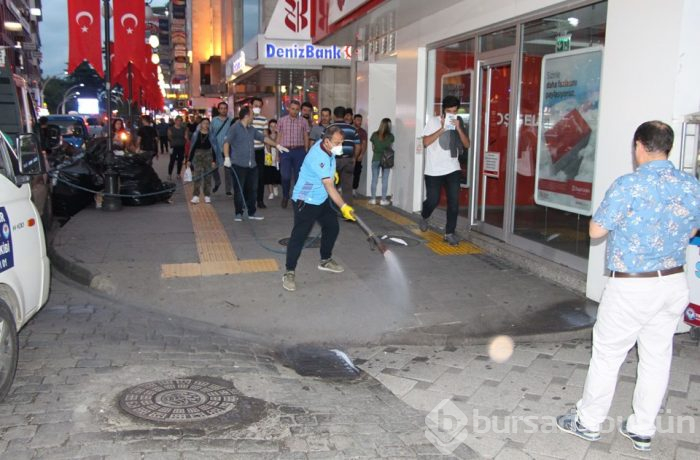 Trabzon'un en işlek caddesini böcek sardı