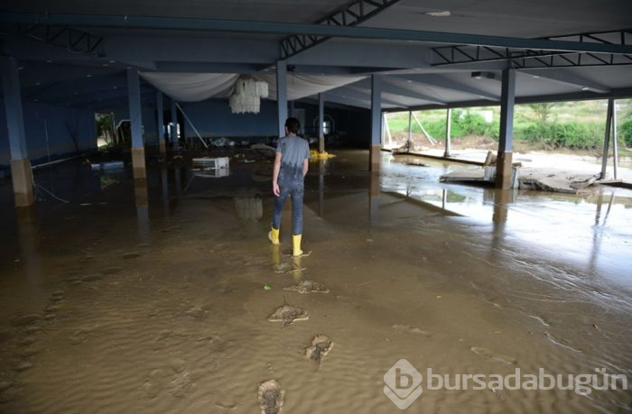 Düzce'deki selde kurtulanlar anlattı: Su iki dakikada 2,5 metre yükseldi