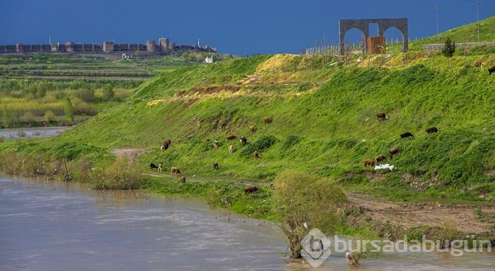 Diyarbakır'ın bin yıllık 10 gözlü köprüsü