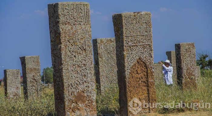 Anadolu'nun tapusu: Ahlat Selçuklu Mezarlığı