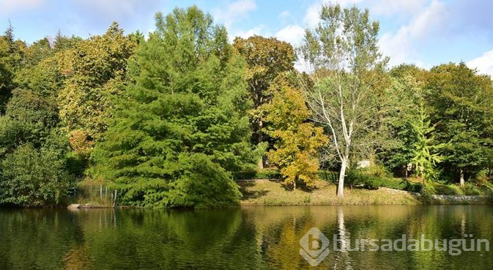 İstanbul'un müze parkı Atatürk Arboretumu
